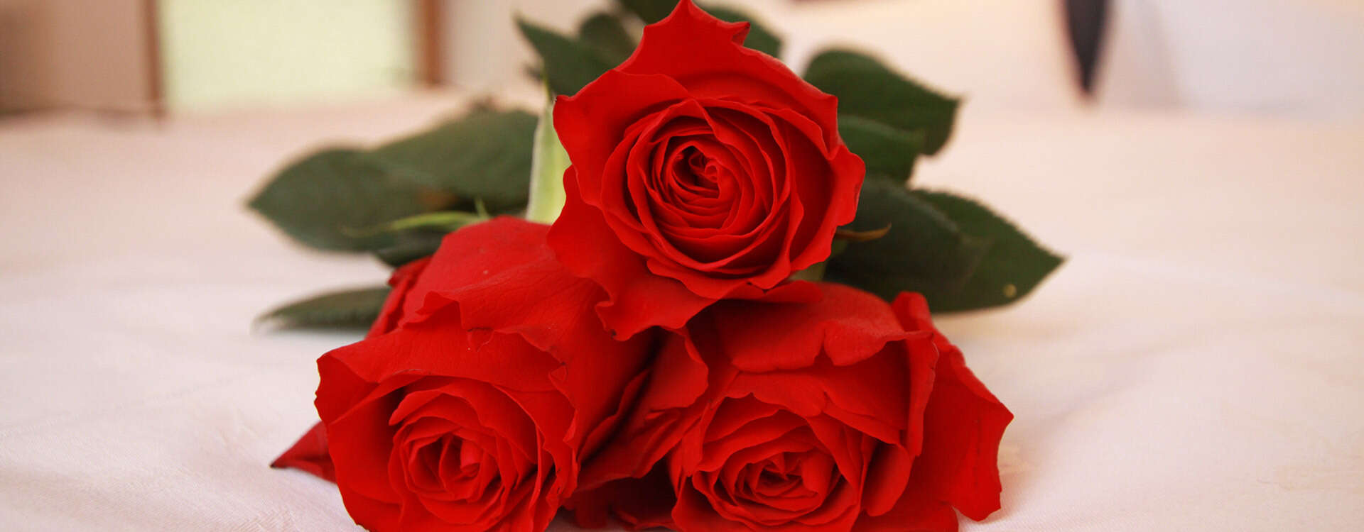 Ambiente Haus Schöne Ausblick